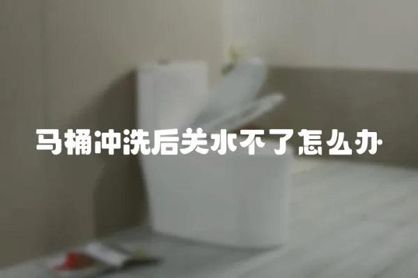 馬桶沖洗后關水不了怎么辦