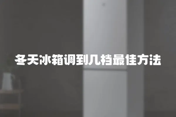冬天冰箱調到幾檔最佳方法