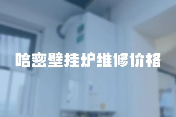 哈密壁掛爐維修價格