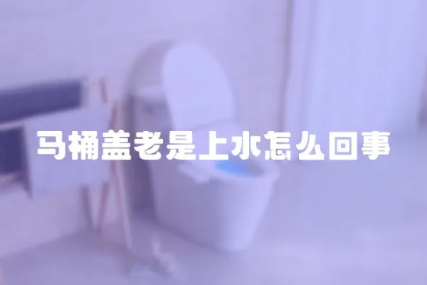 馬桶蓋老是上水怎么回事