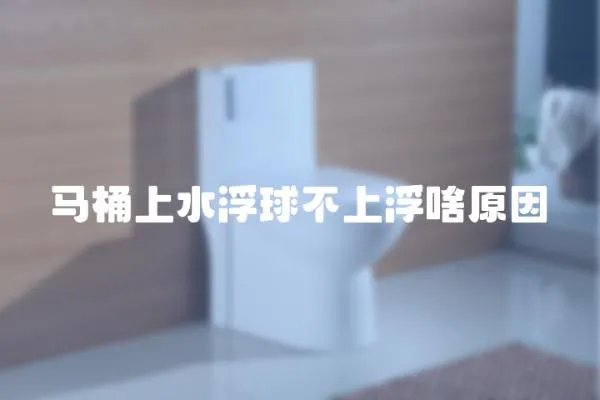 馬桶上水浮球不上浮啥原因