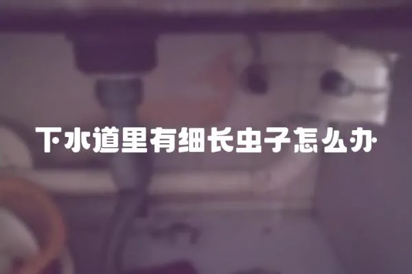 下水道里有細長蟲子怎么辦