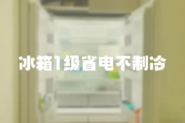 冰箱1級省電不制冷