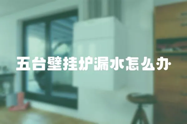 五臺壁掛爐漏水怎么辦