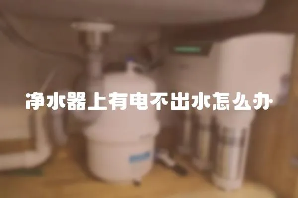 凈水器上有電不出水怎么辦