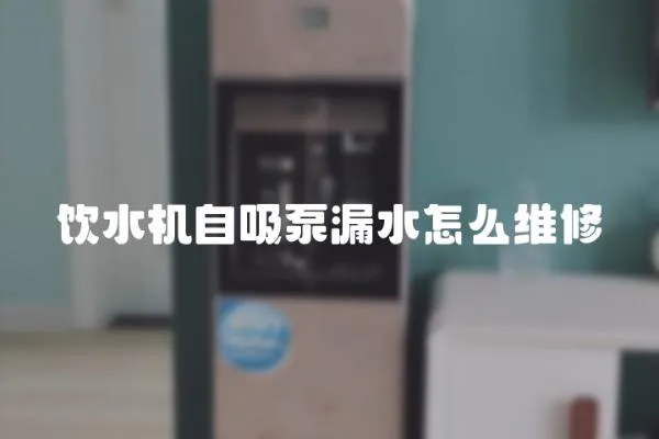 飲水機(jī)自吸泵漏水怎么維修