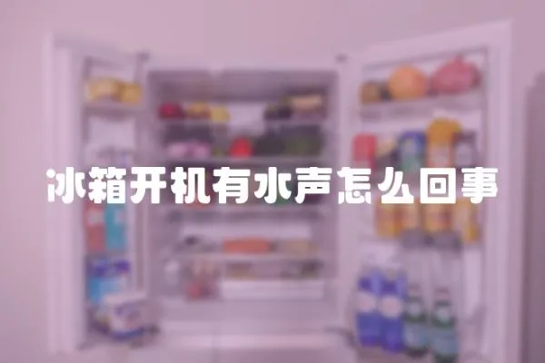 冰箱開機有水聲怎么回事