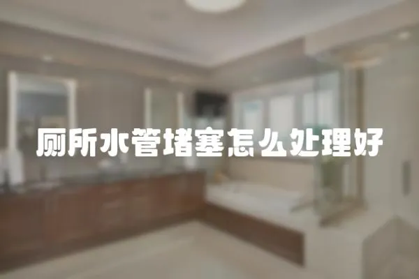 廁所水管堵塞怎么處理好