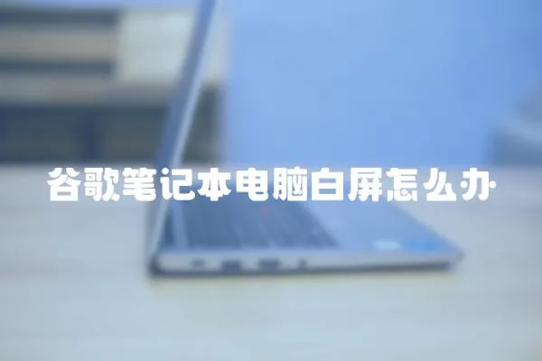 谷歌筆記本電腦白屏怎么辦