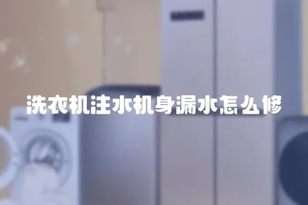 洗衣機注水機身漏水怎么修