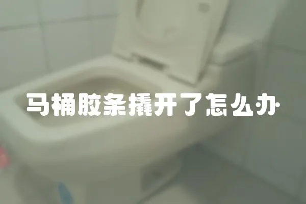 馬桶膠條撬開了怎么辦