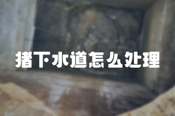 豬下水道怎么處理