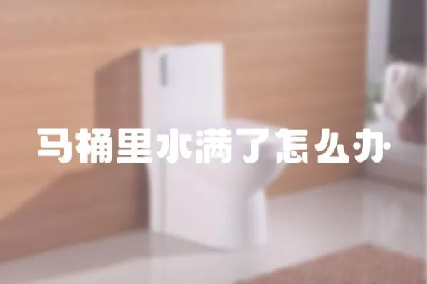 馬桶里水滿了怎么辦