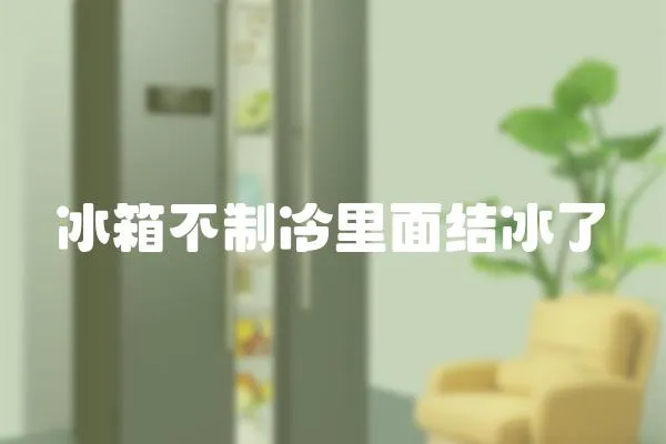 冰箱不制冷里面結冰了
