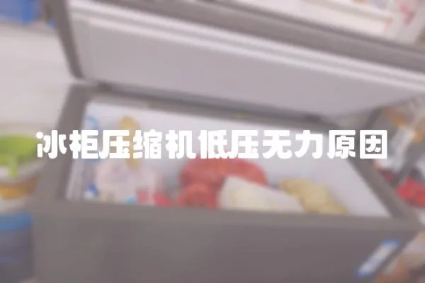 冰柜壓縮機(jī)低壓無(wú)力原因