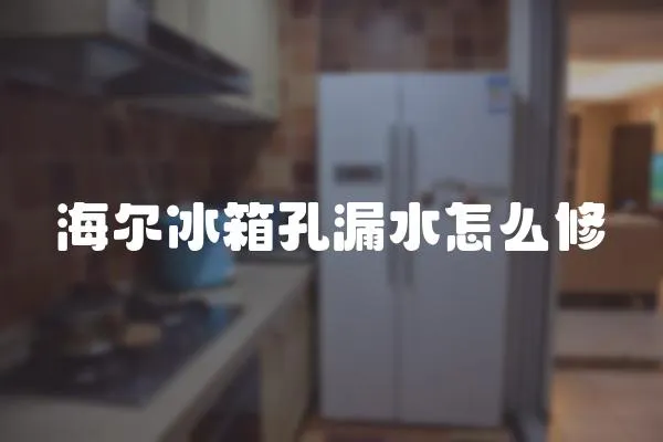 海爾冰箱孔漏水怎么修