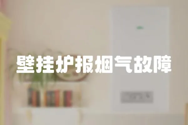 壁掛爐報煙氣故障