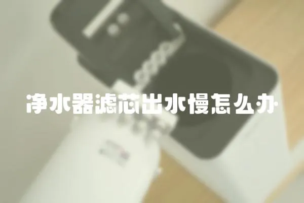 凈水器濾芯出水慢怎么辦