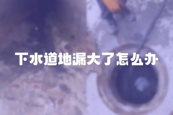 下水道地漏大了怎么辦