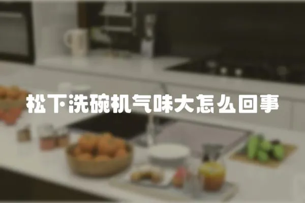 松下洗碗機氣味大怎么回事