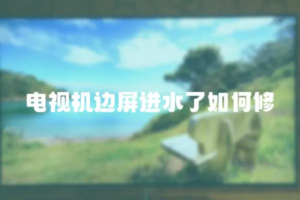 電視機邊屏進水了如何修