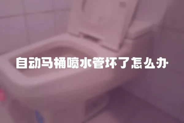自動馬桶噴水管壞了怎么辦