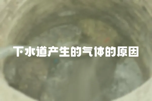下水道產生的氣體的原因