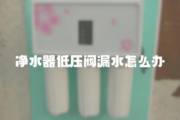凈水器低壓閥漏水怎么辦