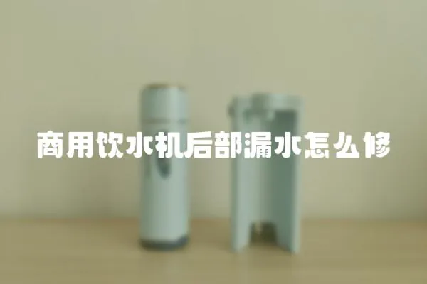 商用飲水機后部漏水怎么修