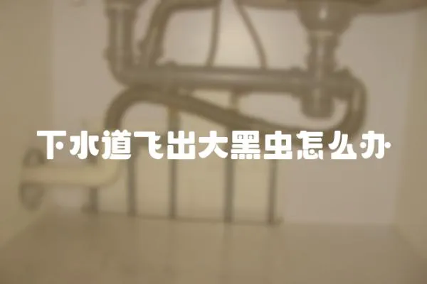 下水道飛出大黑蟲怎么辦