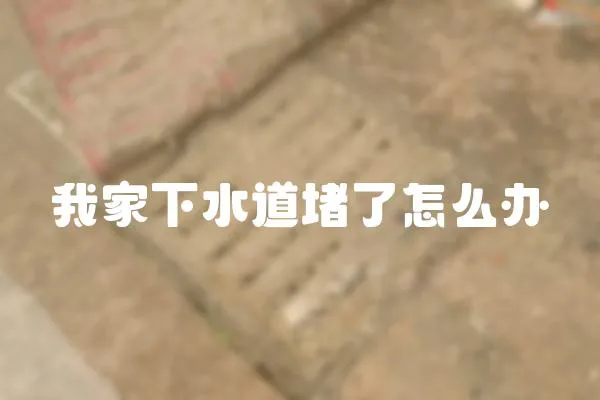 我家下水道堵了怎么辦