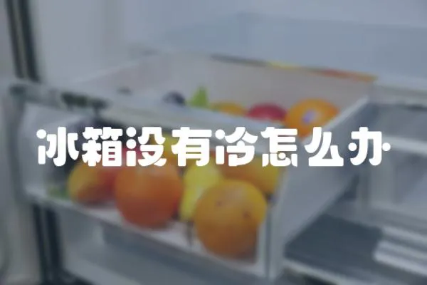 冰箱沒有冷怎么辦