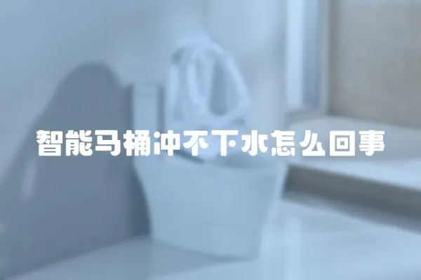智能馬桶沖不下水怎么回事