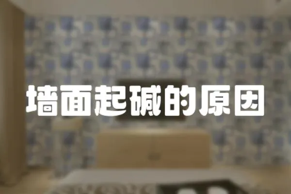墻面起堿的原因
