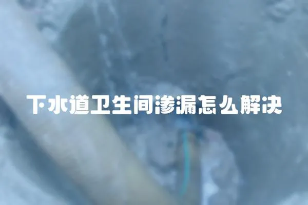 下水道卫生间渗漏怎么解决