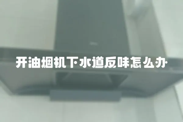 開油煙機下水道反味怎么辦