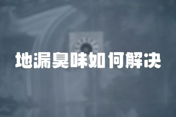地漏臭味如何解決