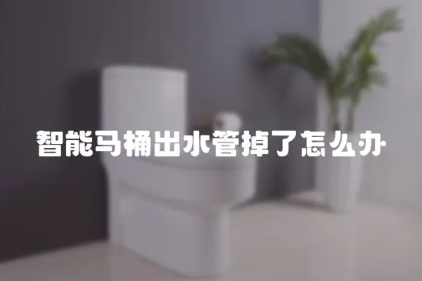 智能馬桶出水管掉了怎么辦