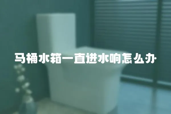 馬桶水箱一直進水響怎么辦