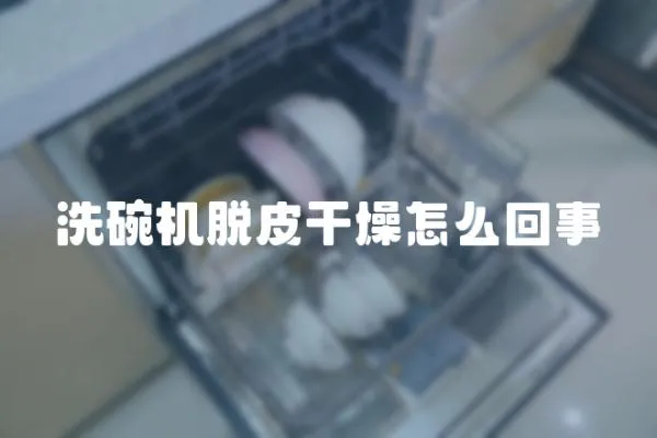洗碗機脫皮干燥怎么回事
