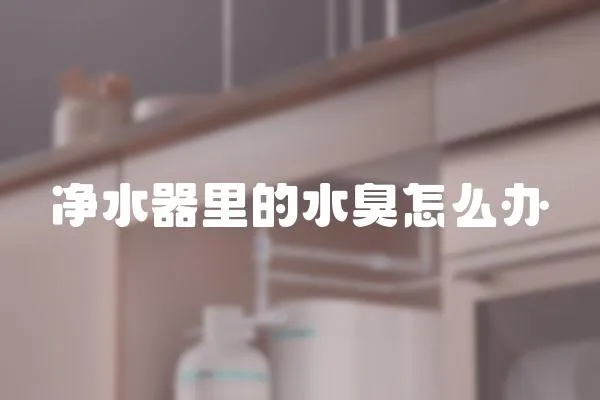 凈水器里的水臭怎么辦