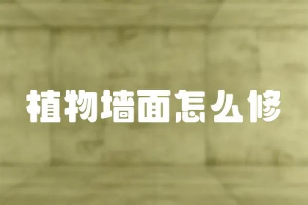 植物墻面怎么修