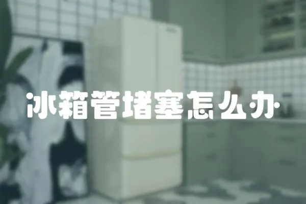 冰箱管堵塞怎么辦