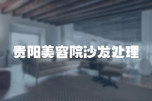 貴陽美容院沙發處理