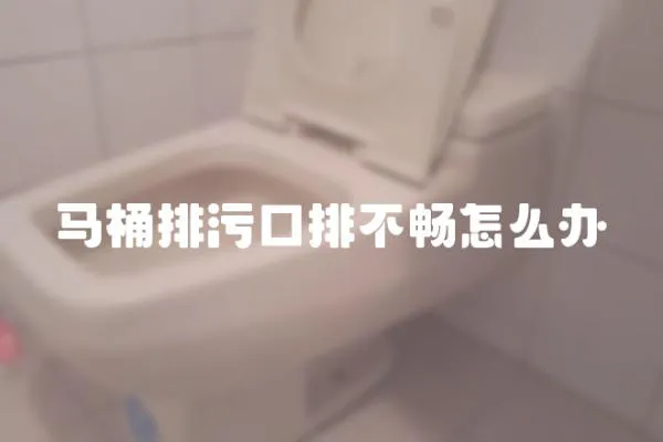 馬桶排污口排不暢怎么辦