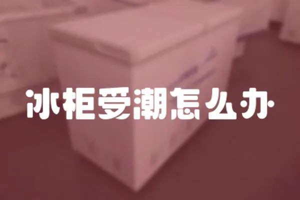 冰柜受潮怎么辦