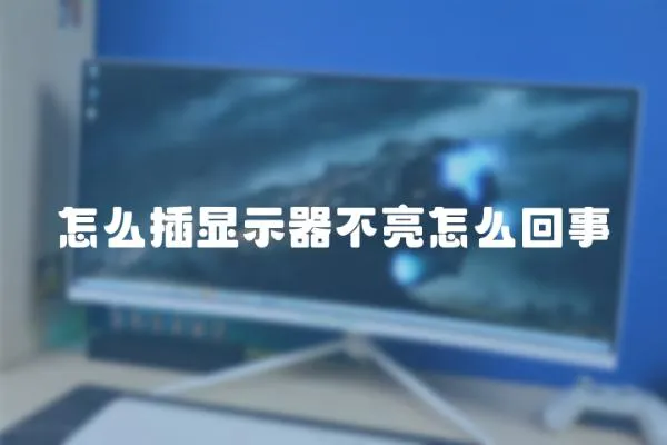 怎么插顯示器不亮怎么回事