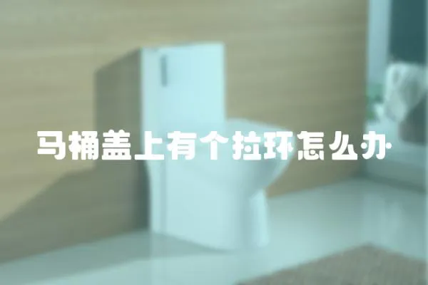 馬桶蓋上有個拉環怎么辦