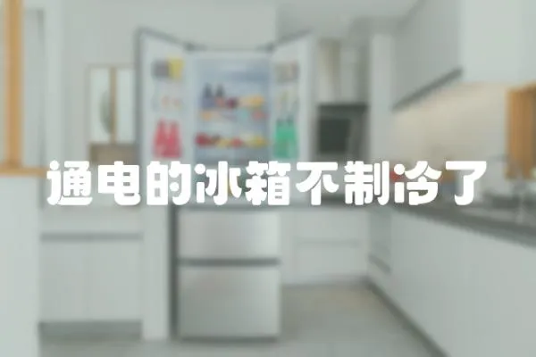 通電的冰箱不制冷了