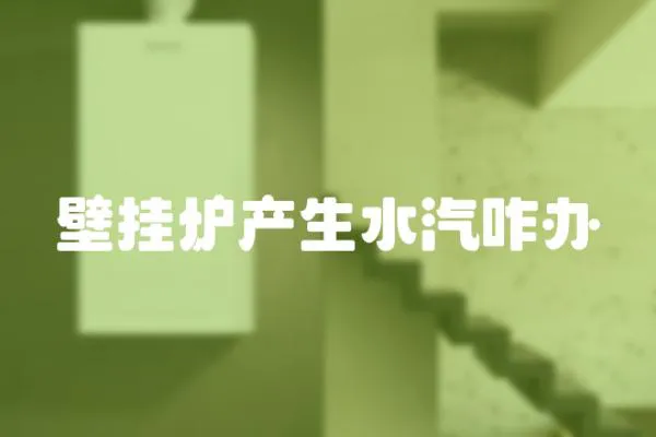 壁掛爐產生水汽咋辦